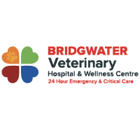 Bridgwater logo