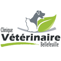 Clinique vétérinaire Bellefeuille