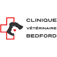 Clinique vétérinaire Bedford