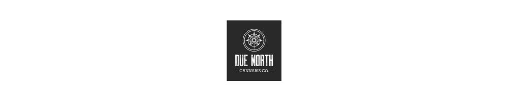 Due North Logo Banner